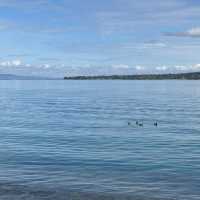 Geneva Day Trip Itinerary