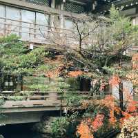 A Zen Escape from Tokyo: Kamakura on a Budget