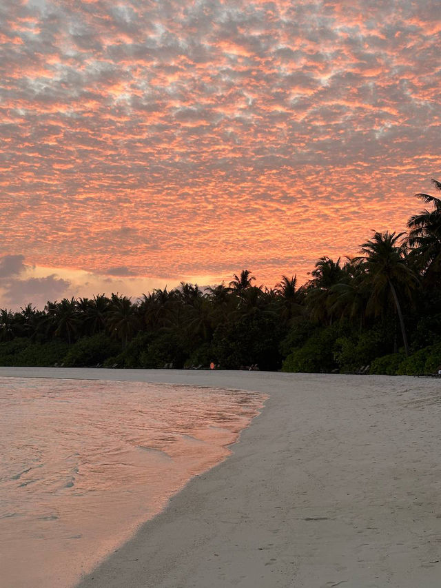 Cocoon Maldives — Where Modern Luxury Meets Barefoot Paradise