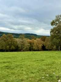 Country Stillness