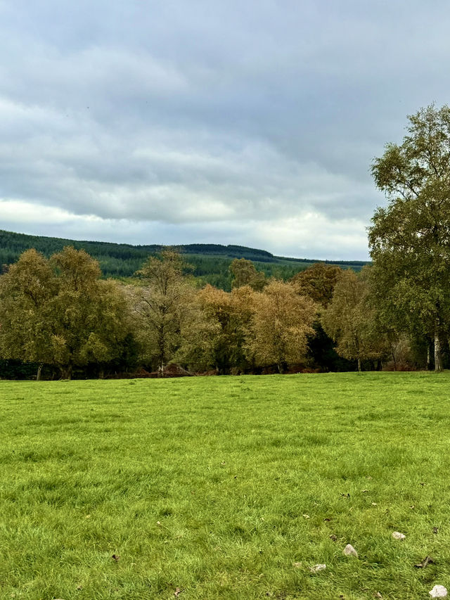 Country Stillness