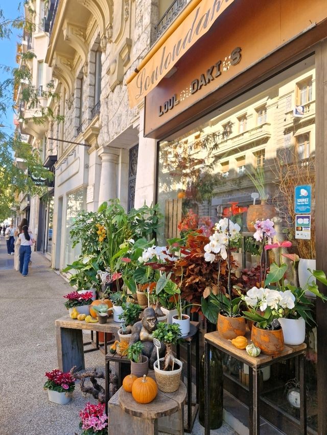 🍂🎃 Why Visit Nice in October — Autumn Charm & Halloween Vibes 🍂🎃 Why Visit Nice in October — Autumn Charm & Halloween Vibes