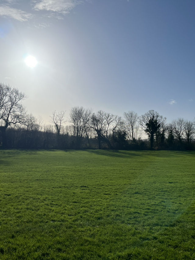 探索千年遺址秘境之旅 探索千年遺址秘境之旅