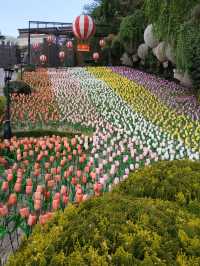 EWorld Tower Fun🎡