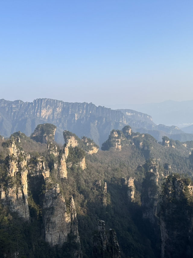 Путешествие в Чжанцзяцзе Путешествие в Чжанцзяцзе