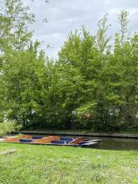 Cambridge Travel Guide: What to See in One Day