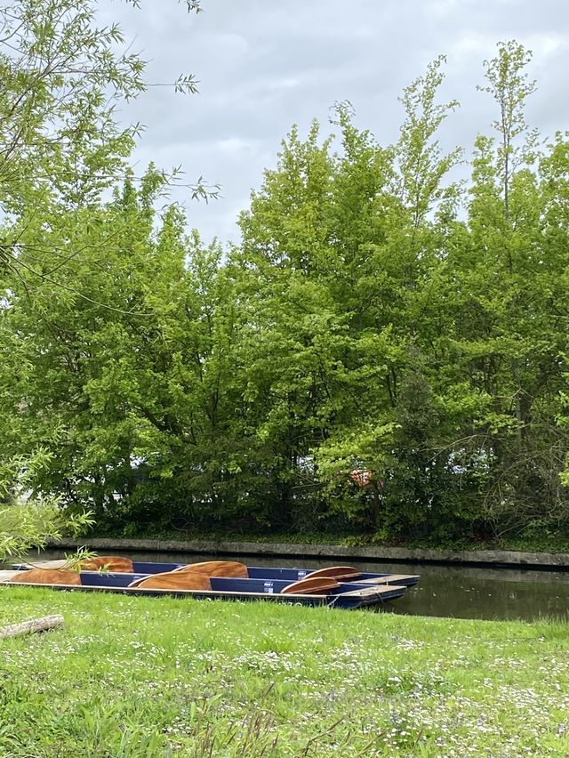 Cambridge Travel Guide: What to See in One Day