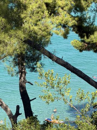 Halkidiki: Greece’s Ultimate Summer Hotspot 😍🌞
