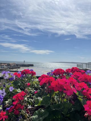 🚂 400 Years of Seaside Magic: A York to Scarborough Train Adventure 🌊📚