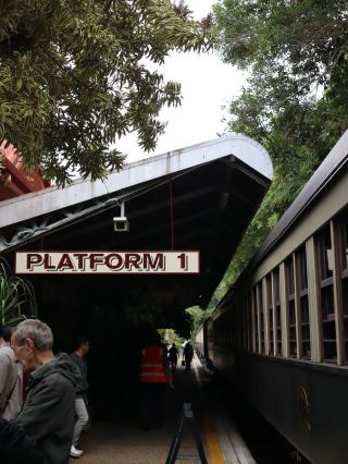 Exploring History and Nature: A Review and Tips for the Kuranda Scenic Railway.