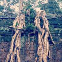 Angkor Wat - Cambodia 