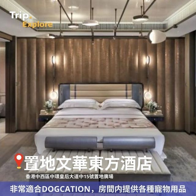 全港寵物酒店Staycation推介🐶 