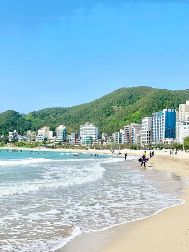 One of the eight scenic spots in Korea, be sure not to miss it when traveling to Busan.
