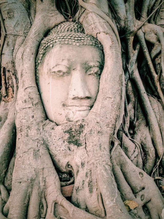 Ayutthaya: Amidst the hustle and bustle of the world, as the sun sets and the journey comes to an end, the glory of a hundred years is but a fleeting cloud of smoke.