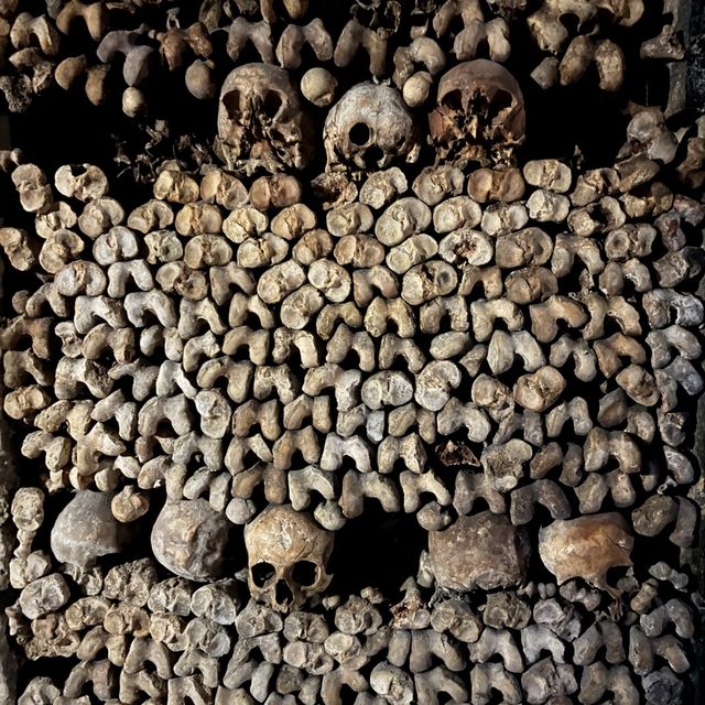 Catacombs of Paris always amazes!