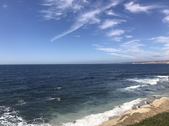 La Jolla | The most beautiful bay in San Diego