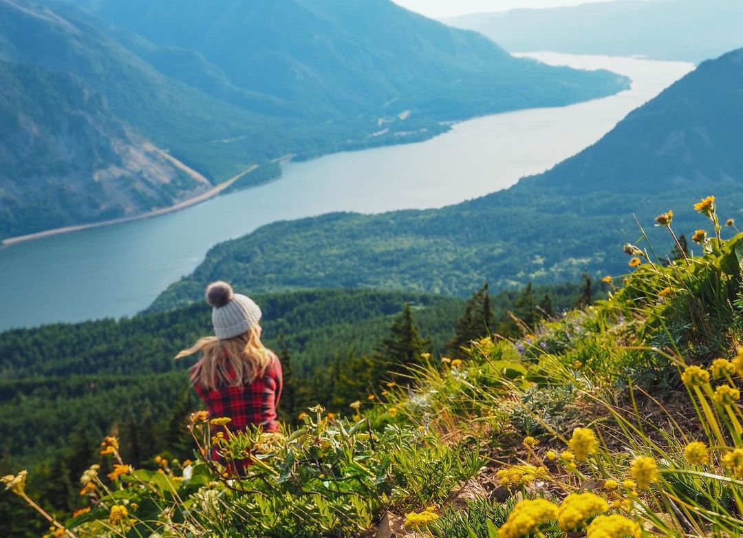 Conquer the Dog Mountain: A Grueling Hike Worth Every Step 💛🌼