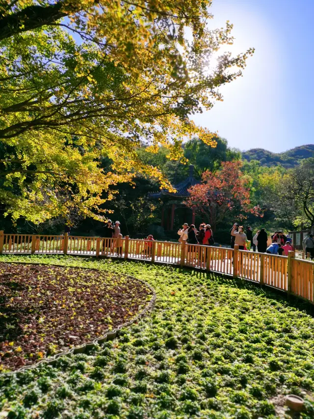 초겨울, 향산 공원