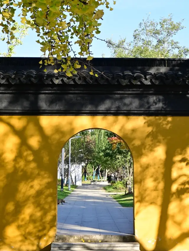 Suzhou Autumn Appreciation | The best Citywalk route this autumn