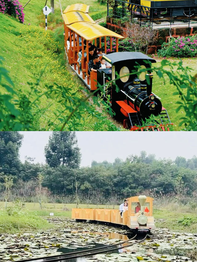 火車來斯 | 在你喜歡它的年紀帶你去坐穿它