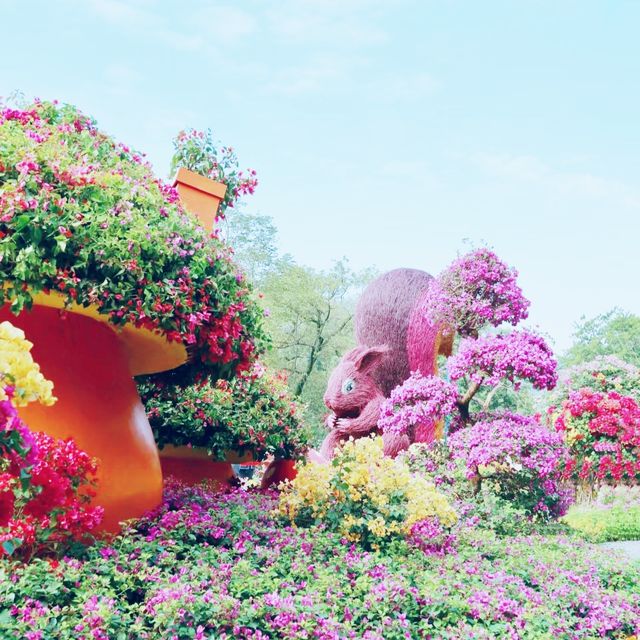 杜鹃花展，白雲山