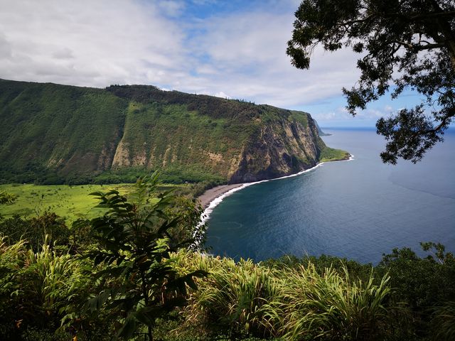 夏威夷大島，野性之美