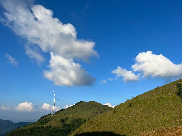 廣西玉林四勝頂，雲海之上的高山草甸