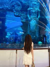重慶最大的室內水族館！一起來看海底星空