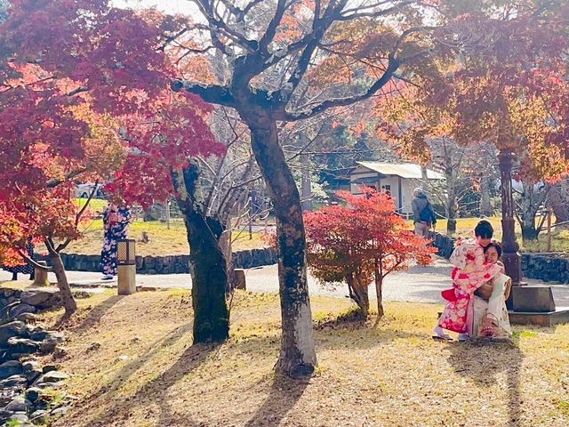 京都圓山公園 日式風格園林