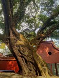 福建“小烏鎮”，百里畫廊霍童溪，霍童古鎮