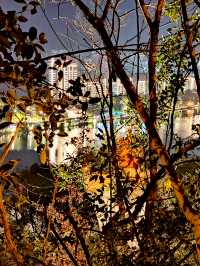 福建行4