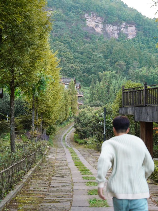 重慶周邊遊｜到山林間感受大自然的饋贈