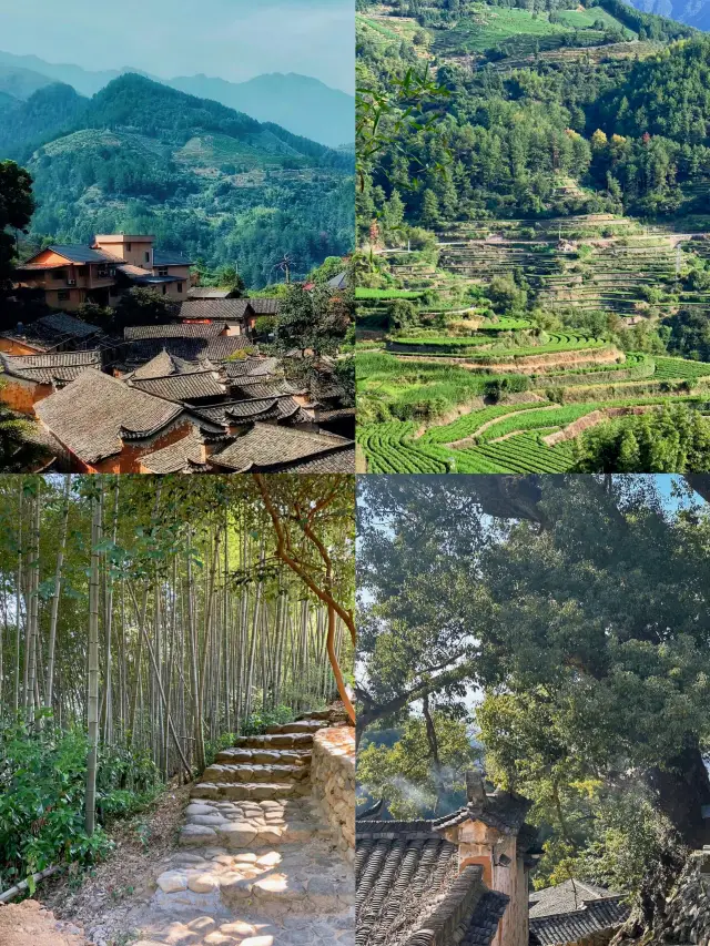 Yangjiatang Village, Lishui, Zhejiang | Known as the "Golden Potala Palace", how beautiful is autumn