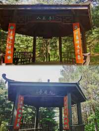 林間漫步，共赴鹿苑之約‖東豐南照山公園