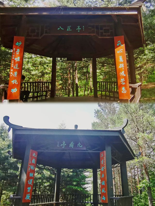 林間漫步，共赴鹿苑之約‖東豐南照山公園