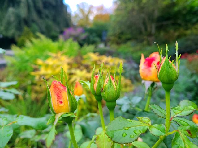 範度森植物園