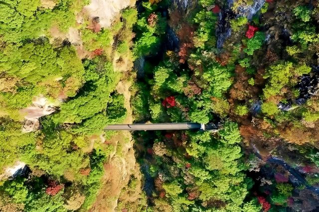 秋意至此濃，來醉倒在武功山的秋色中！