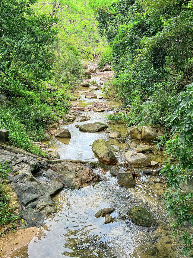 "祈福許願"的珠海金台寺，讓心靈得到寧靜的歸宿