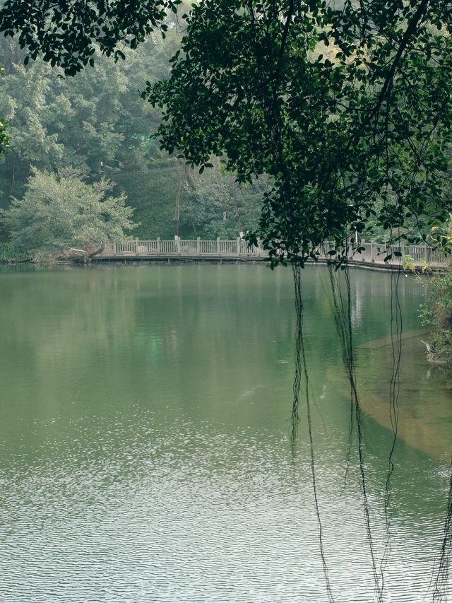 閒著也是閒著，不如去趟鎮海樓極目遠眺，放鬆心情