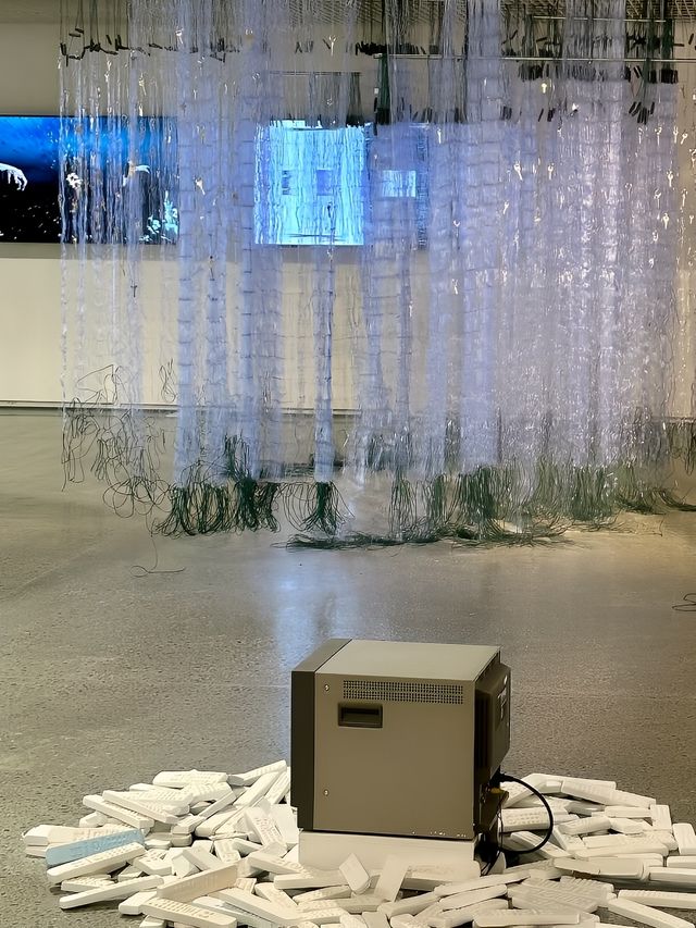 深圳  逛了兩館一園    ·    感受藝術氣息~