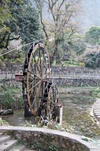 冬季遊覽黃姚古鎮完美指南