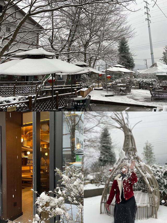 這裡不是東北，是雅安龍蒼溝｜成都2h雪國森林