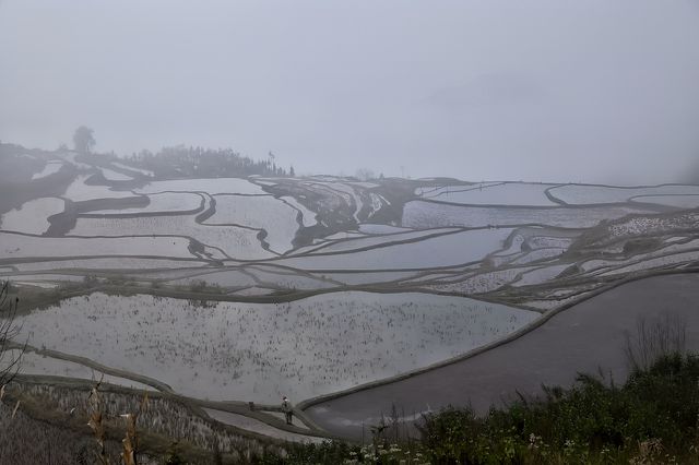 “四素同構”系統的元陽梯田