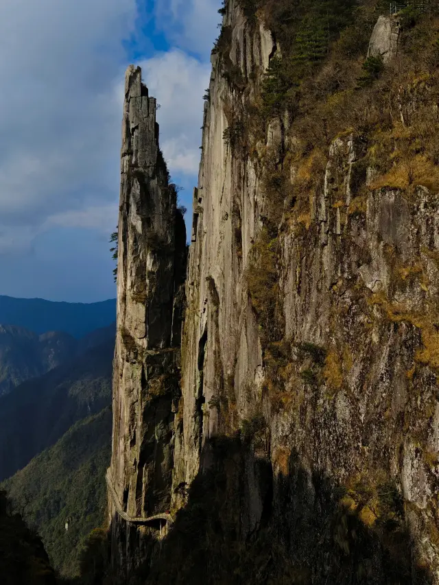 羊獅慕||見山，看山！