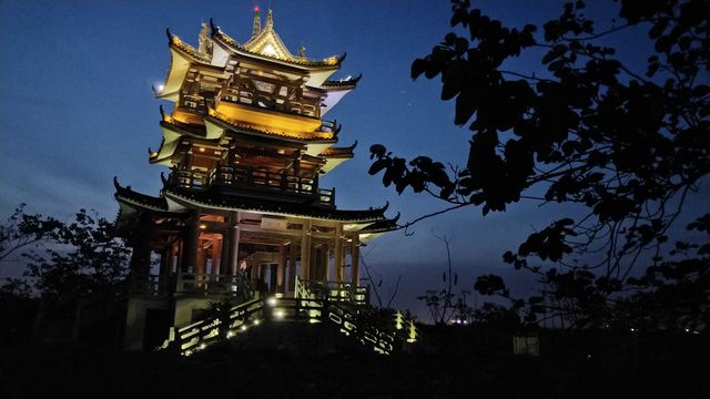 東莞水鄉濕地公園，周末親子遊好去處