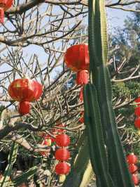 廈門【這樣逛植物園，不踩雷】