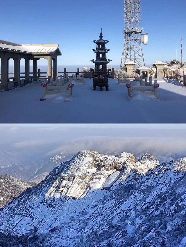 臨沂蒙山|闖進童話世界裡的林海雪原