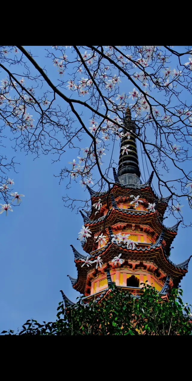 Weekend Micro-travel! Suzhou Twin Towers Travel Guide!