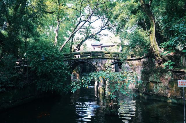 去了還想去的地方——鹅岭公园