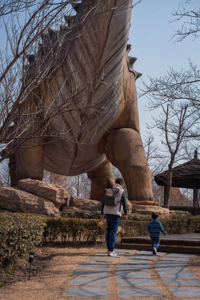 節假日別去自然博物館，顧村公園更香